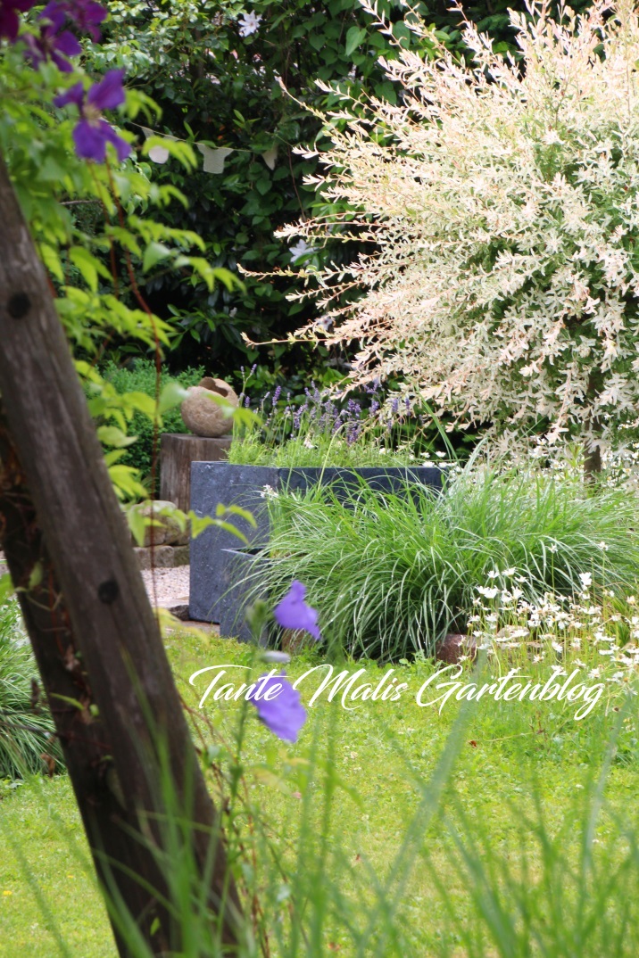 Tante Malis Gartenblog