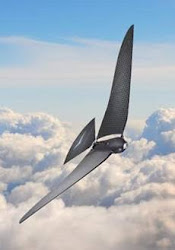 remote control bionic bird flying bb1 drone deluxe