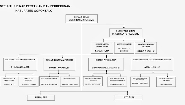 STRUKTUR ORGANISASI ~ DINAS PERTANIAN DAN PERKEBUNAN KABUPATEN GORONTALO