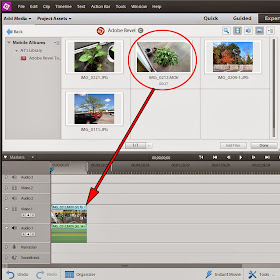 adobe revel files adobe revel files