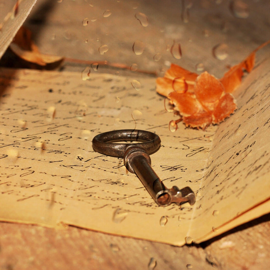 Happy APPS Vintage Live Wallpaper