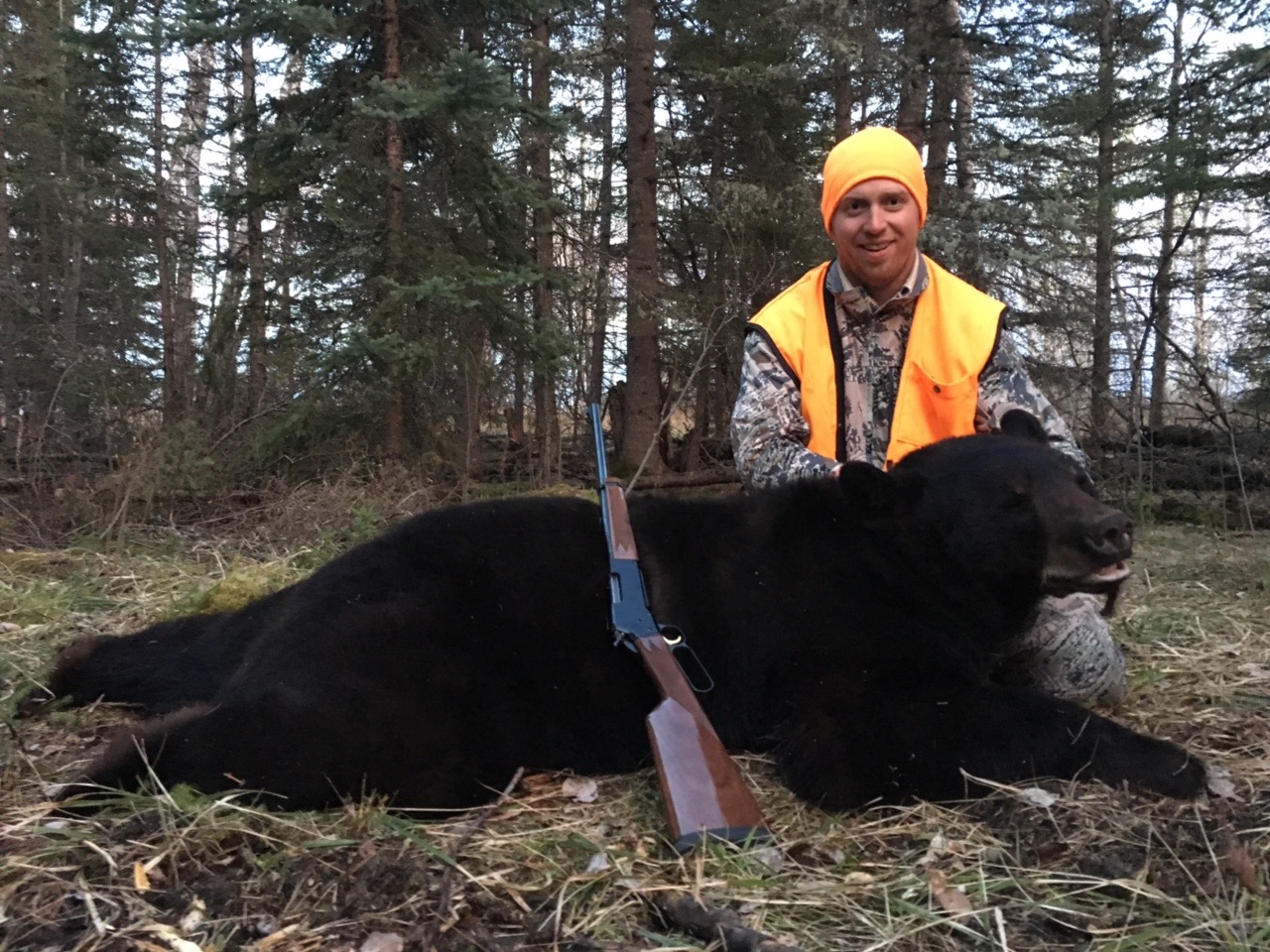 Spring Bear Hunting Tips