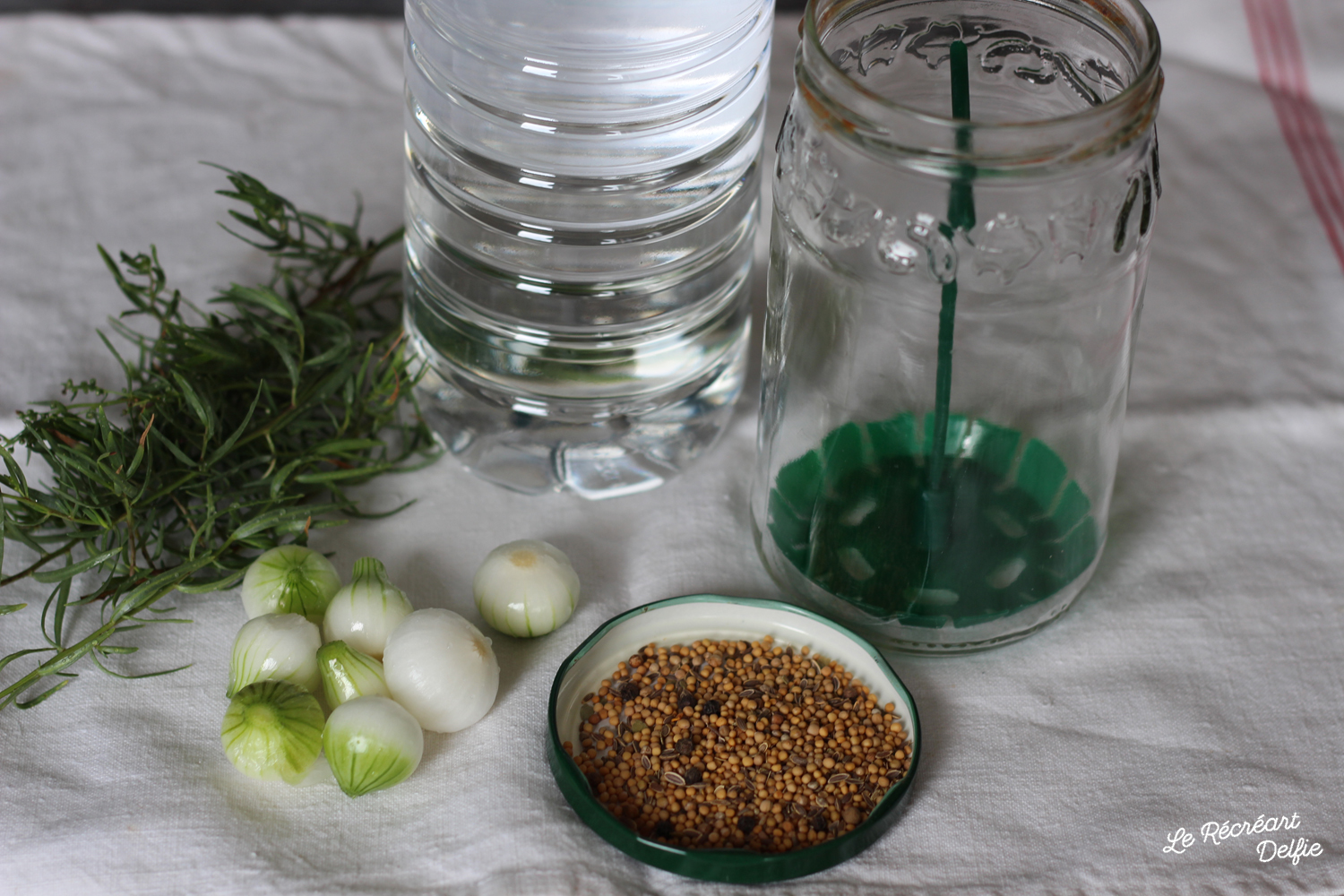 Conserves de Cornichons au vinaigre fait maison Le Récréart Delfie