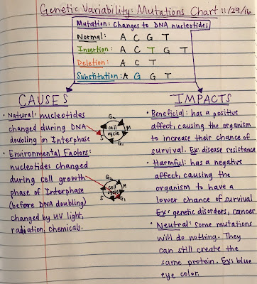 Mrs. Paul - Biology: Biology 2016-2017 Charts/Notes venn diagram mitosis 