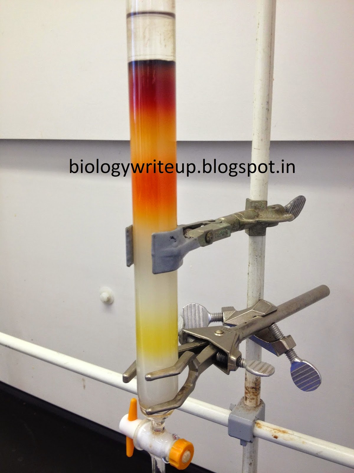 BIOLOGY WRITEUP BIOLOGY ARTICLES COLUMN CHROMATOGRAPHY Principle