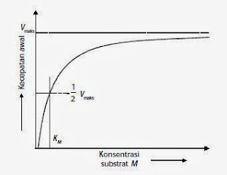 Grafik pengaruh konsentrasi substrat terhadap laju reaksi Grafik pengaruh konsentrasi substrat terhadap laju reaksi