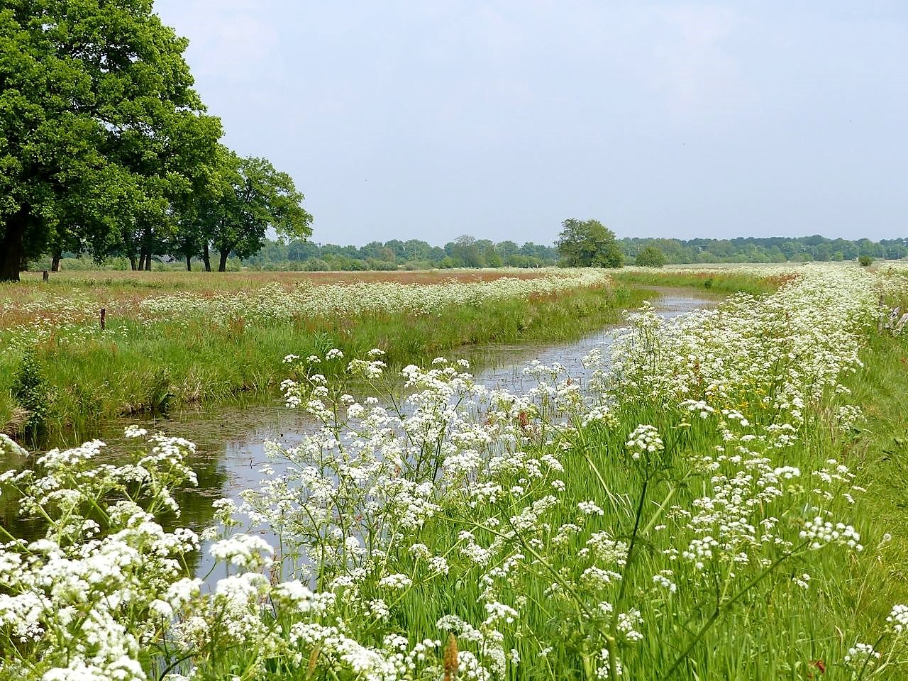 Mooiste Routes Wandelen rond Echten (Drenthe)
