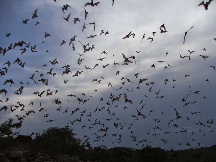 Share it! Science Jam Masters