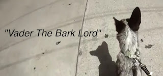 Vader's World video: Vader The Bark Lord