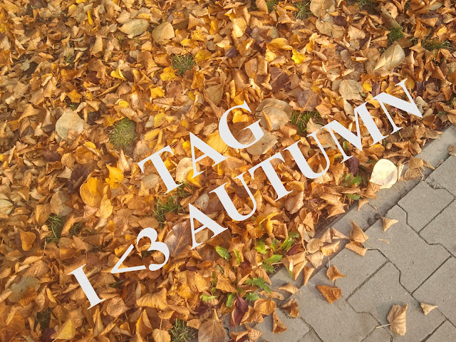 TAG: Kocham jesień ♥☁☔