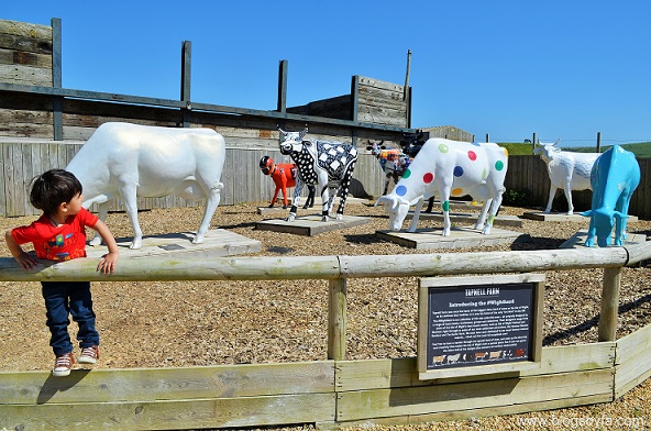 Tapnell Farm Park at Isle of Wight