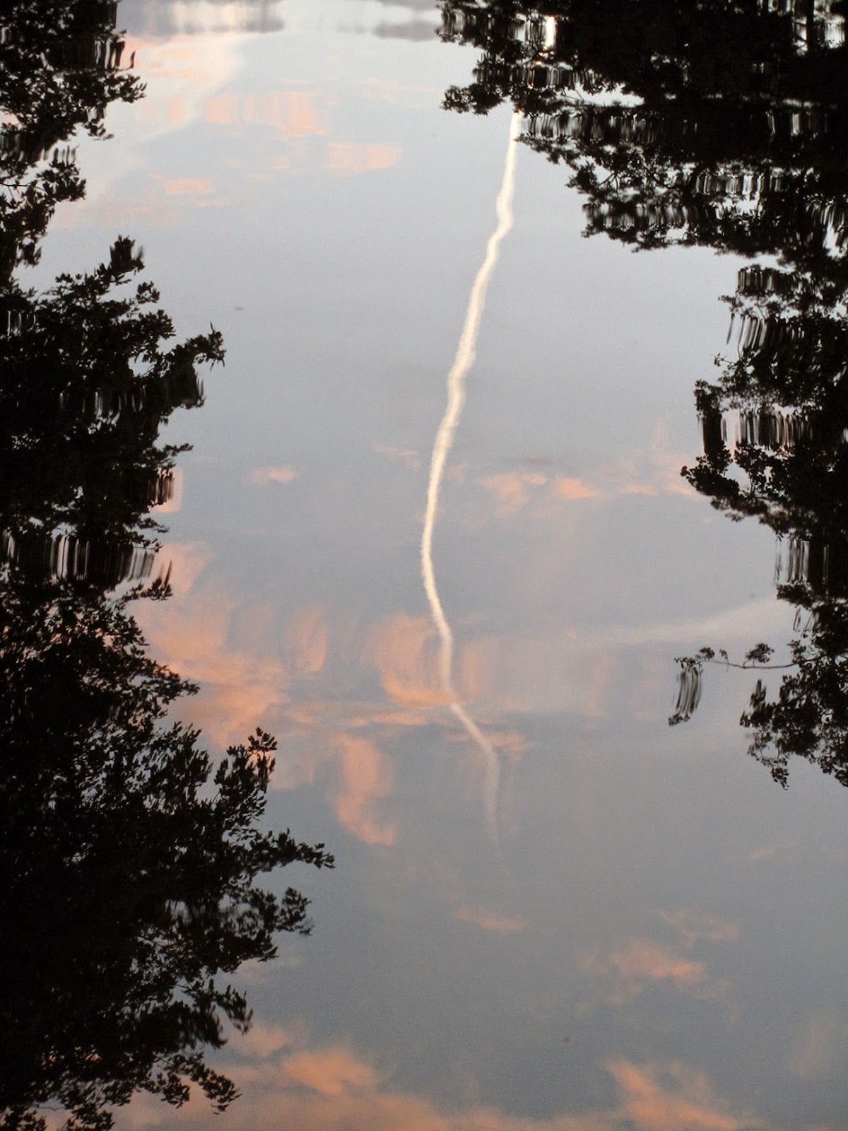 reflection of chemtrail in water