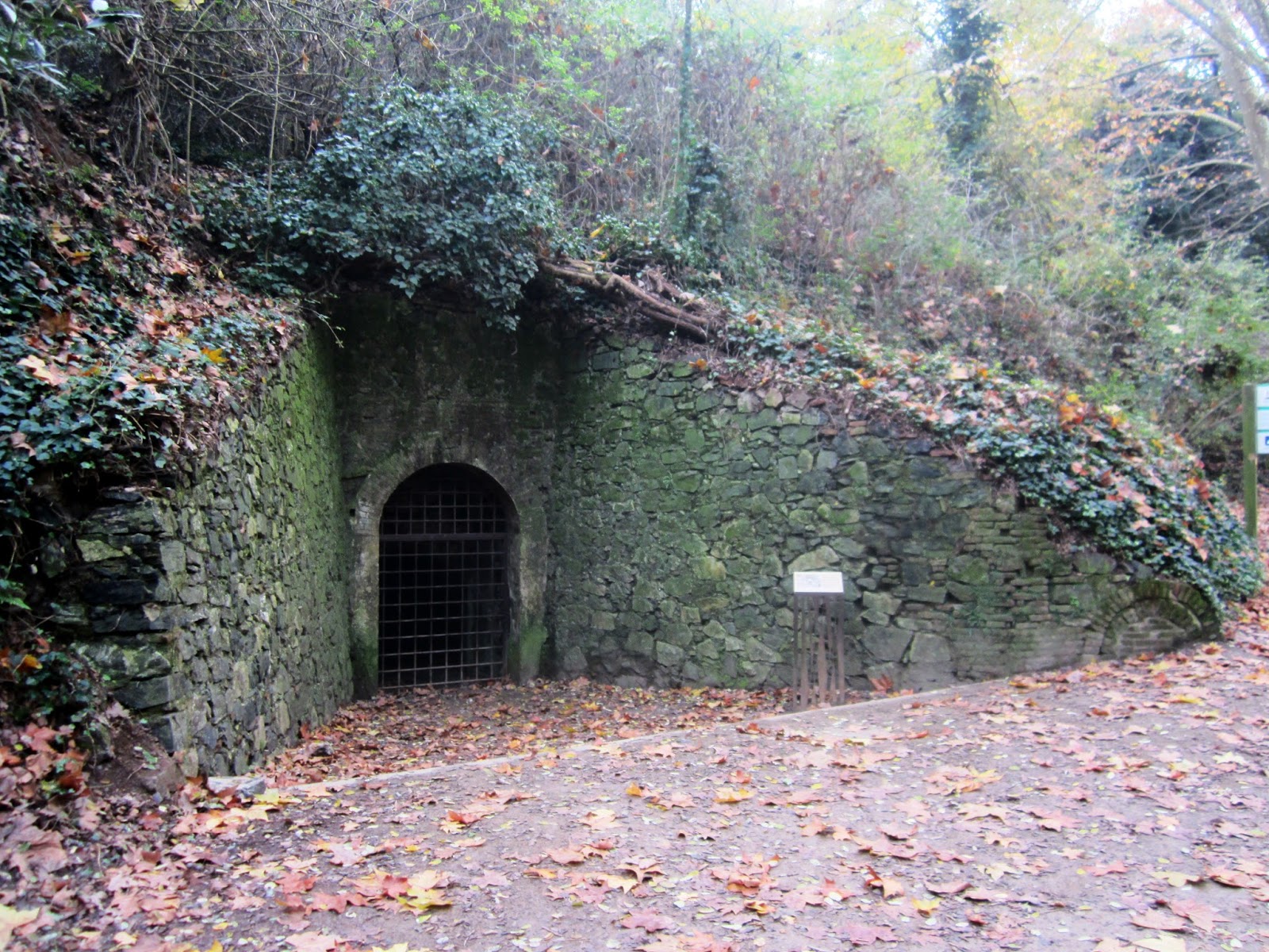 Redescubriendo Barcelona y más allá 20/11/2016 Mina Grott (y el F.C