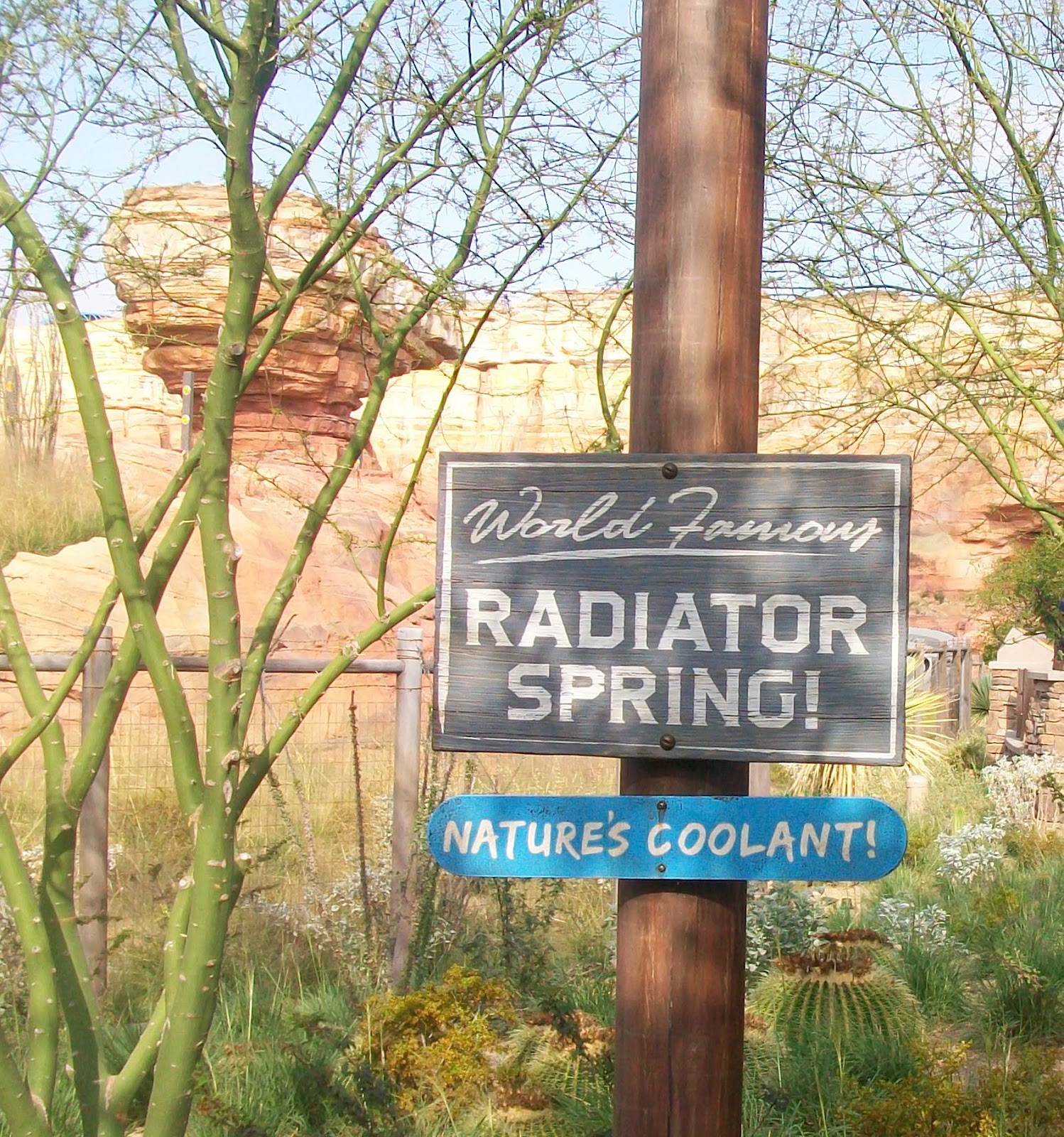 The Mouse Minute (Formerly Brad's Everything Disney Blog): Radiator ...