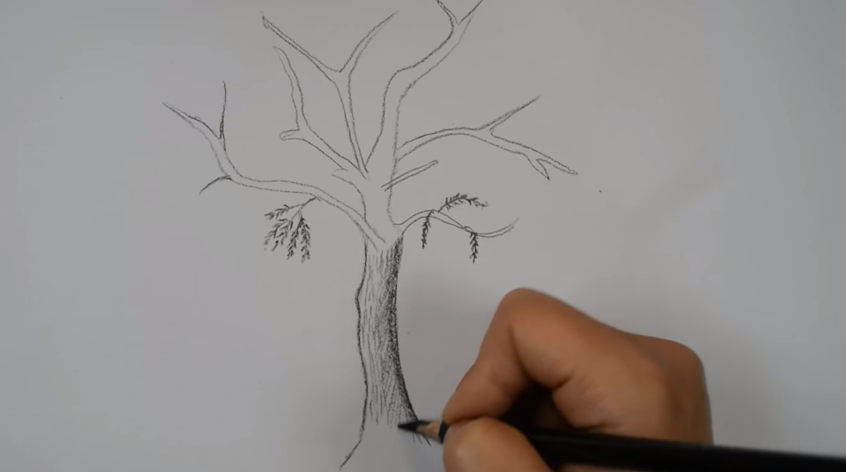 تعلم رسم شجرة بالرصاص خطوة بخطوة للمبتدئين تعلم الرسم