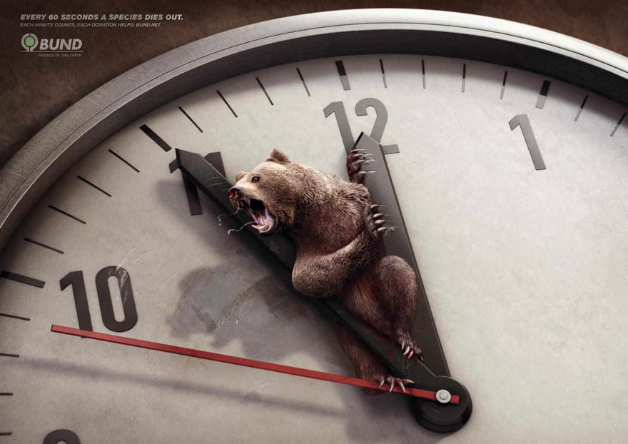 Every 60 Seconds A Species Dies Out. Each Minute Counts -BUND