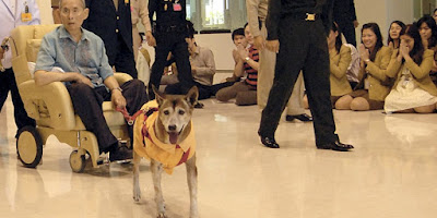 Erigido monumento em memória da cadela do rei da Tailândia
