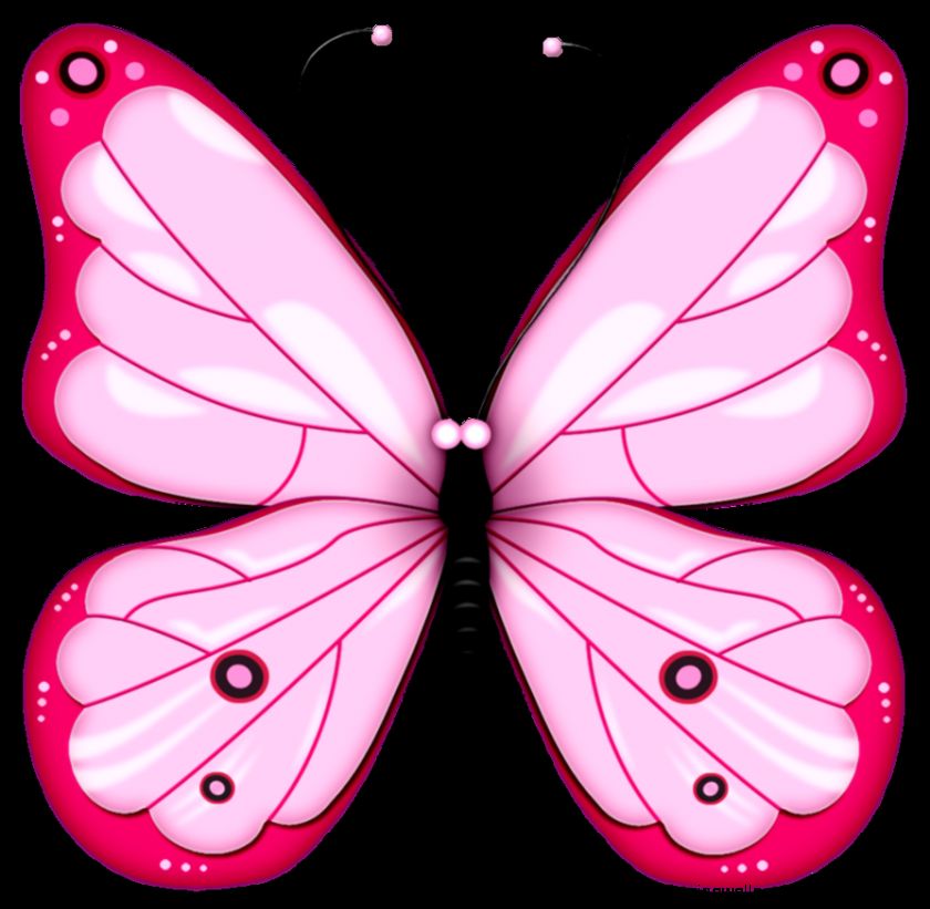 Images Of Pink Butterflies