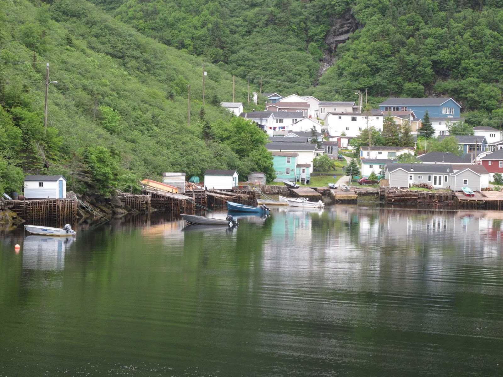 Newfoundland's South Coast Adventure