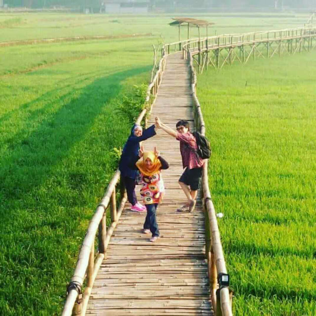 Jembatan CInta cafe sawah Pujon Kidul Jembatan CInta cafe sawah Pujon Kidul