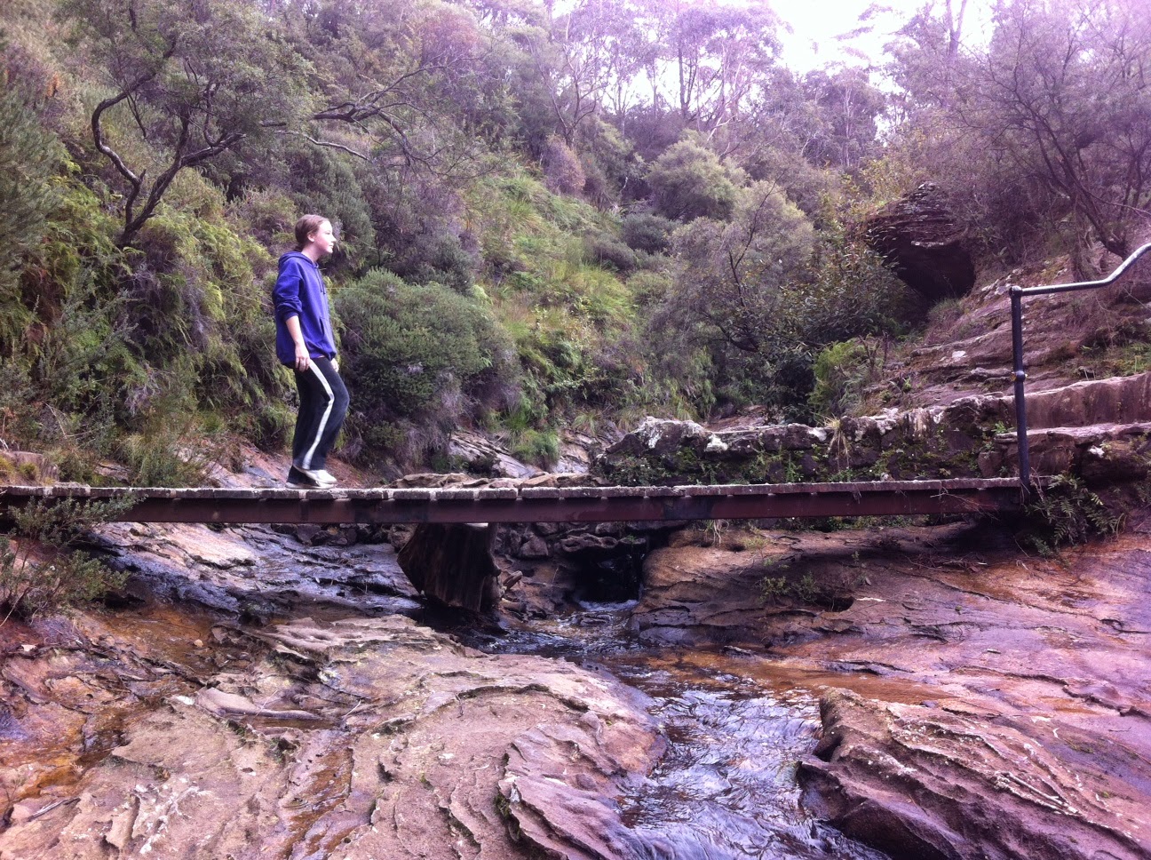 kensbigbackyard: Charles Darwin Walk, Wentworth Falls