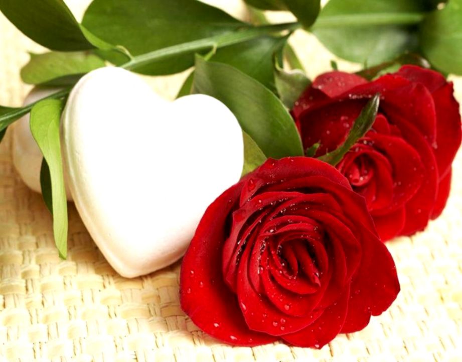 Hearts White Roses Red Flowers Hd Wallpaper Wallpapers Moving Hearts White Roses Red Flowers Hd Wallpaper Wallpapers Moving