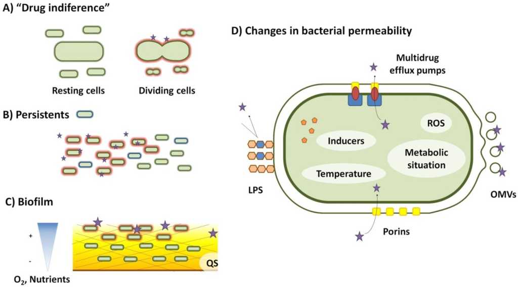 Medical Microbiology BtB8 Resistance, Persistence and Tolerance