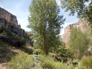 Camudando'l camín Recuerda (Tierras del Burgo) Gormaz Vildé