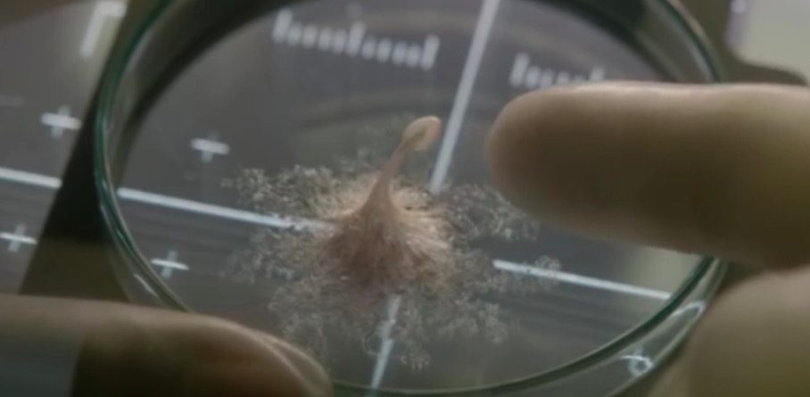 capture-2016-11-03-a%CC%80-17.47.00-908x445.jpg (908×445)