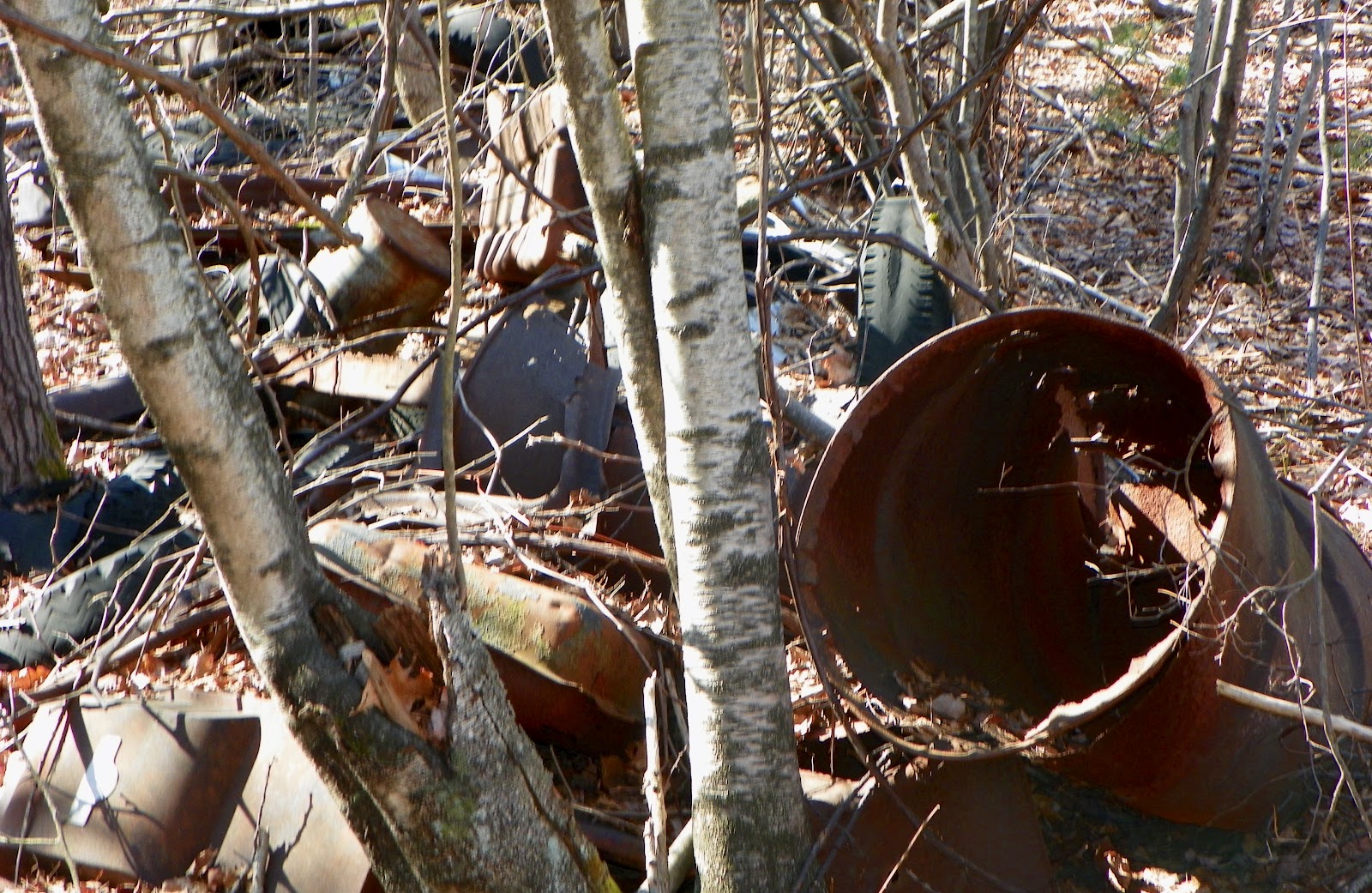 Only in The Republic of Amherst Polluted Library vote