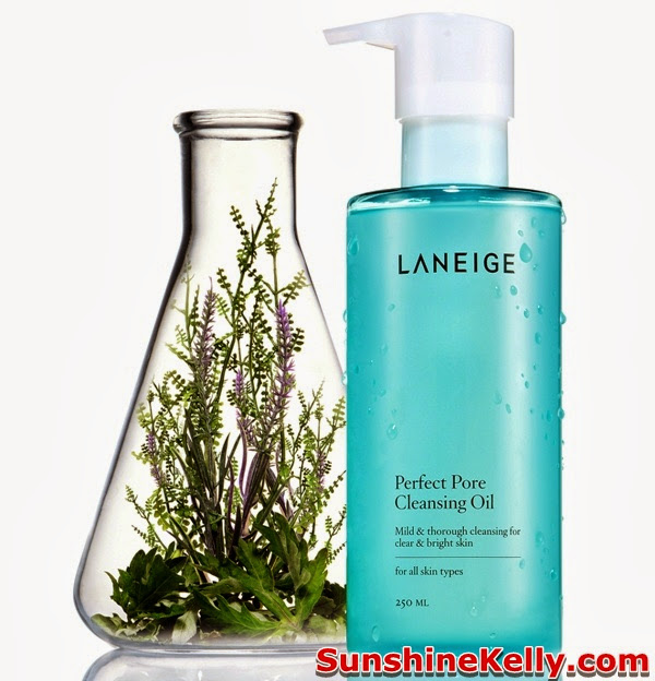 Laneige Cleansing Oil, Laneige Fresh Brightening Cleansing Oil, Laneige Perfect Pore Cleansing Oil, Usage, step by step how to use cleansing oil, skincare, korea, korean skincare, 
