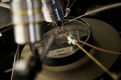 Nou mètode per a l'estudi dels defectes individuals en els transistors