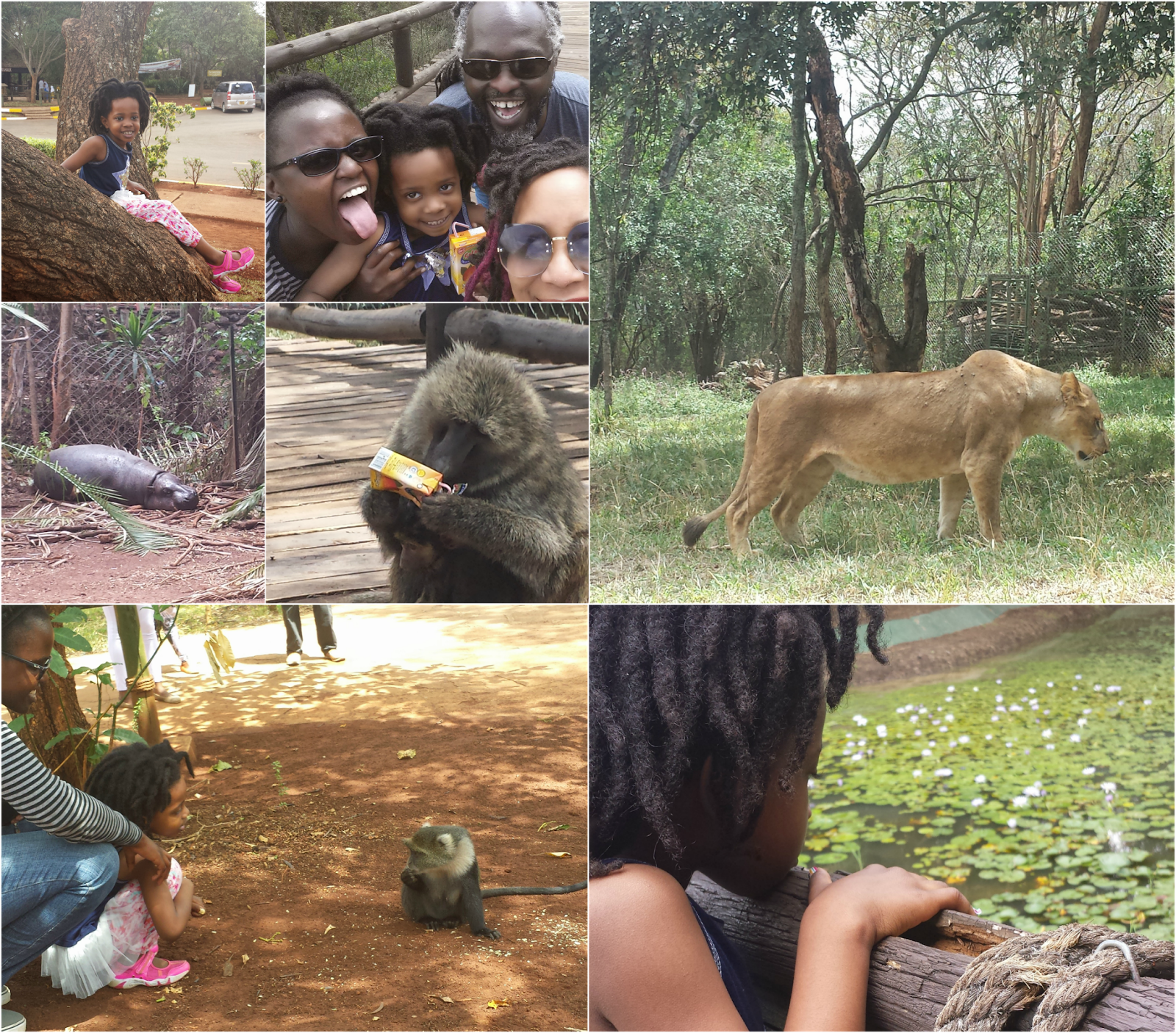 Animal parks in Nairobi