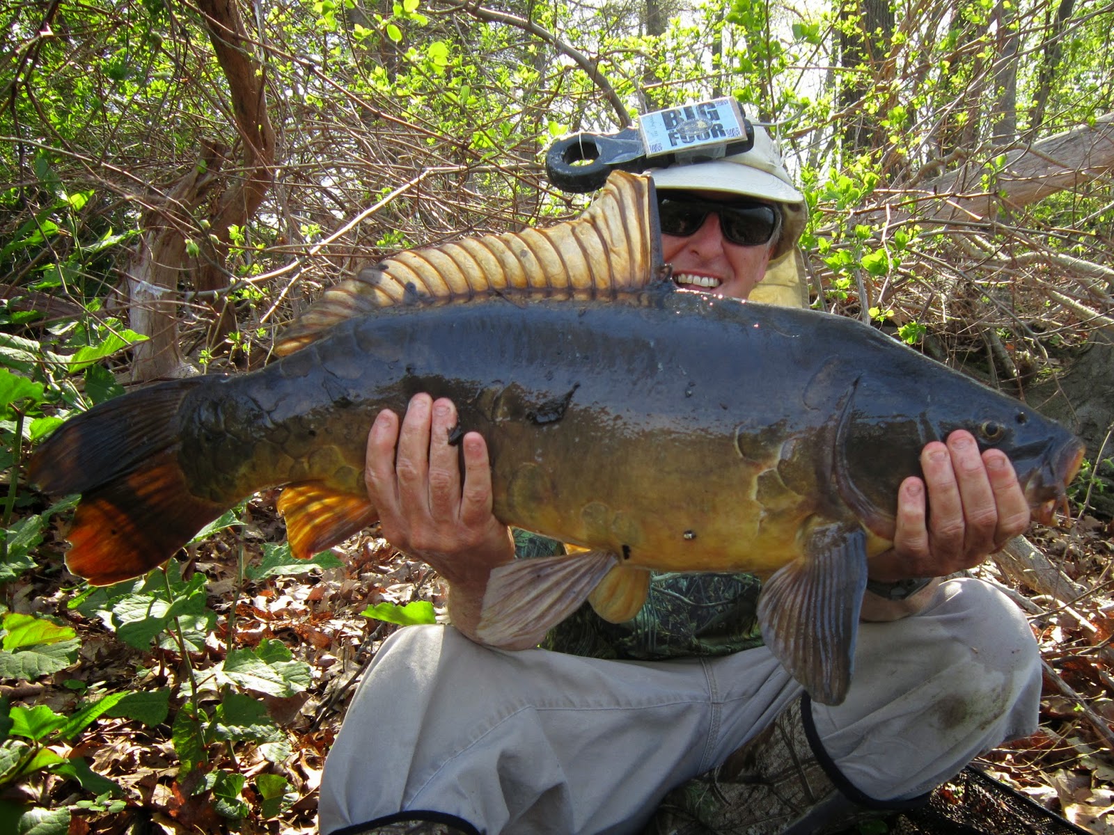 Rhode Island Carp Fishing Rare Leather Carp Highlight of the Day