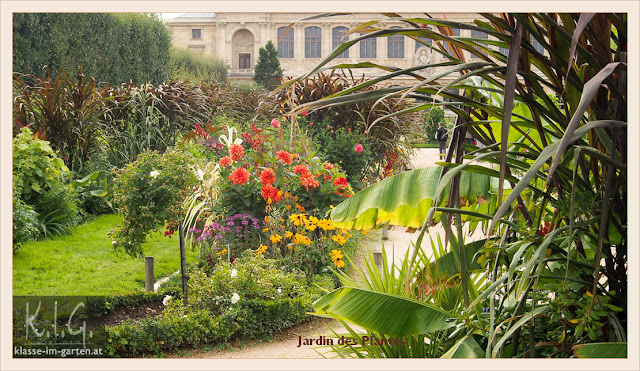 Klasse Im Garten Page 6 Chan 9849358 Rssing Com
