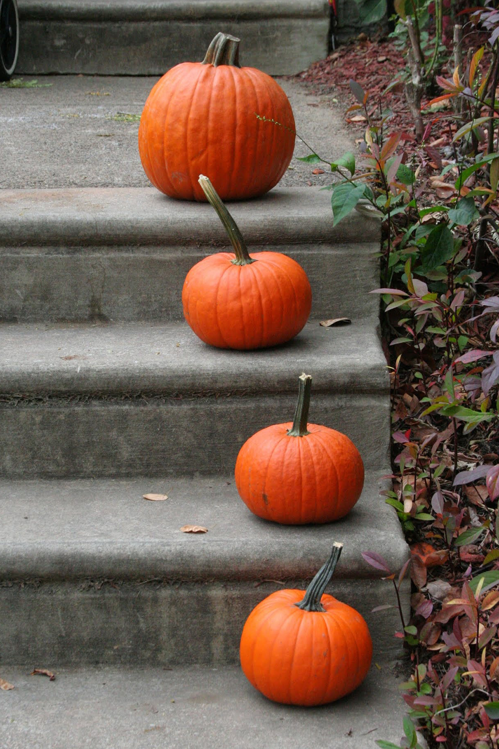 Southern Mom Loves 6 DIY Outdoor Halloween Decor Ideas