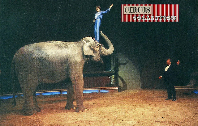 Louis Knie junior debout sur la tête d'un éléphant