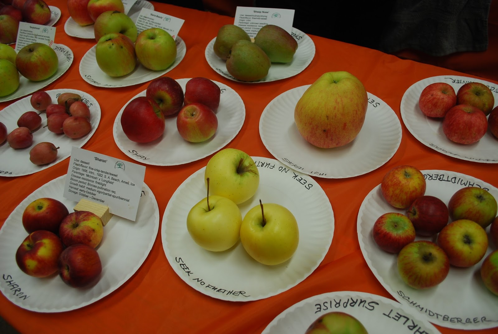 Fruit Show
