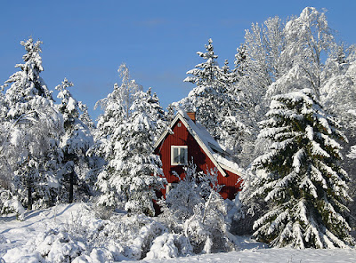 Nature-of-Sweden-Europe-winter-holiday