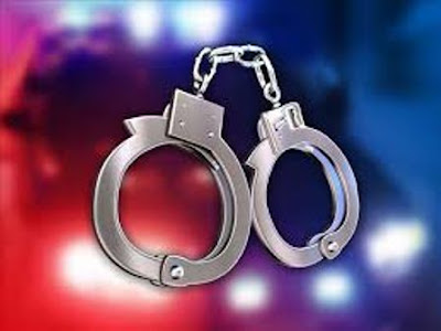सफाळे ज्वेल थीफ प्रकरणी २ अटक सफाळे ज्वेल थीफ प्रकरणी २ अटक