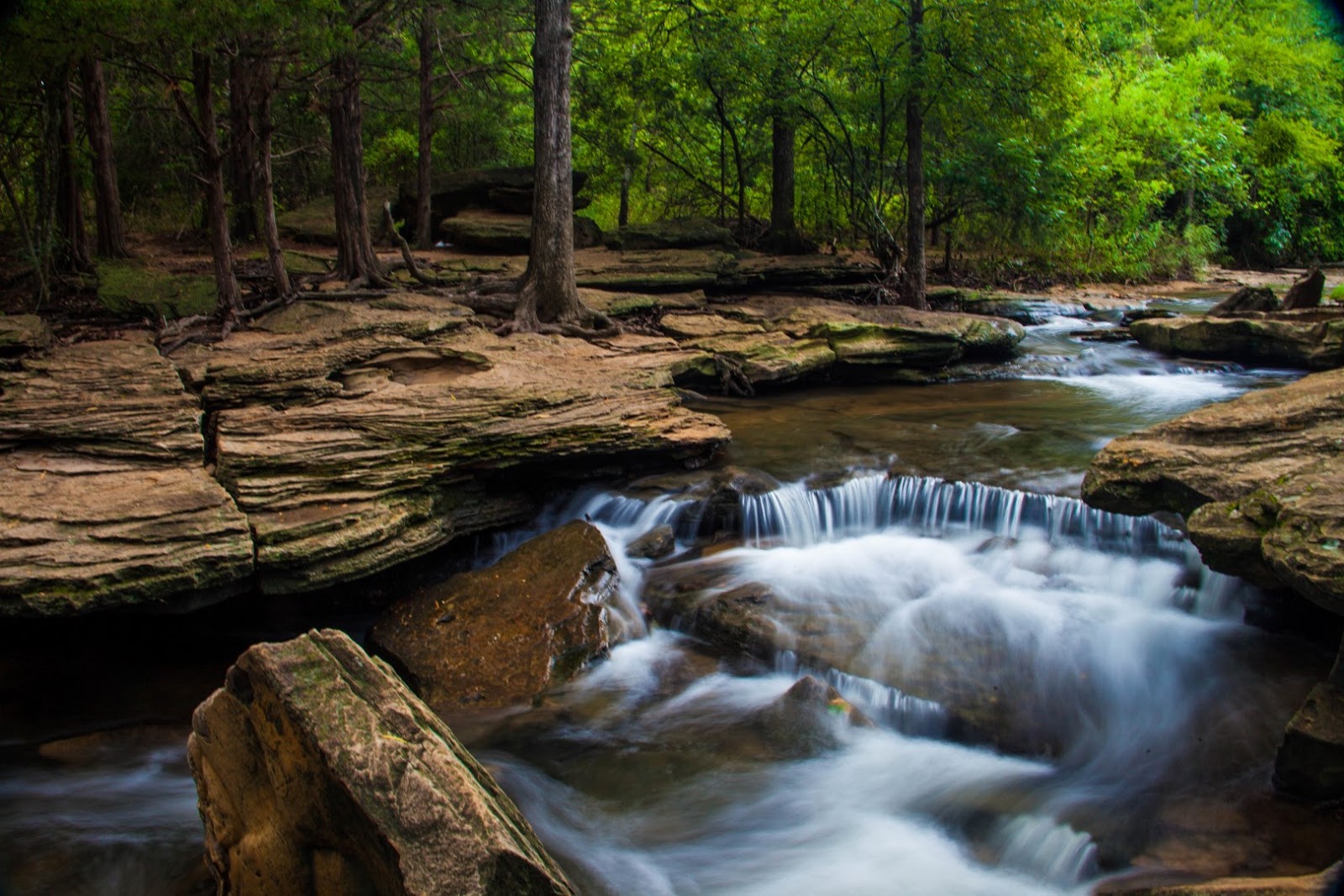 JaredDavidsonPhotography Stone Creek Park Flower Mound Texas Photography