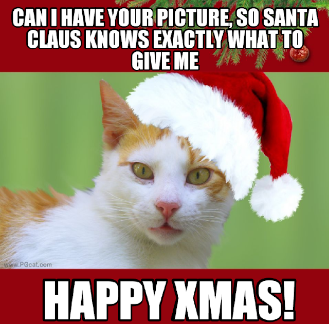funny happy Christmas  pictures, funny Merry, Christmas wishes,  images, quotes, greetings, wallpaper