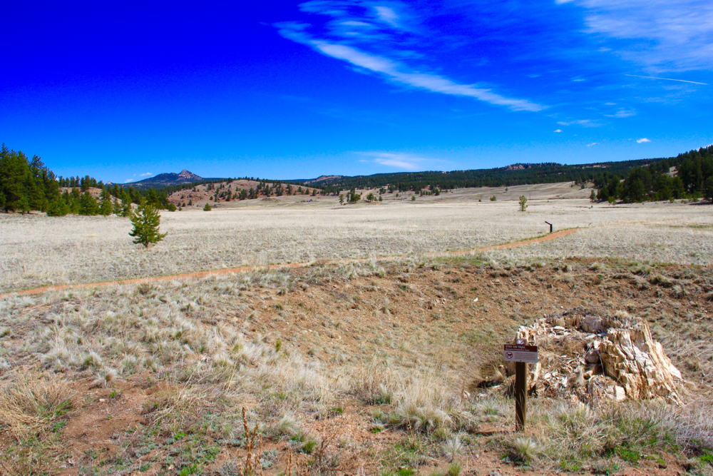 Colorado Lifestyle Florissant Fossil Beds Petrified Forest Loop