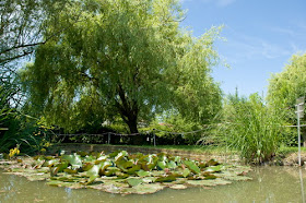 The Aldrovandi Botanical Gardens in Bologna