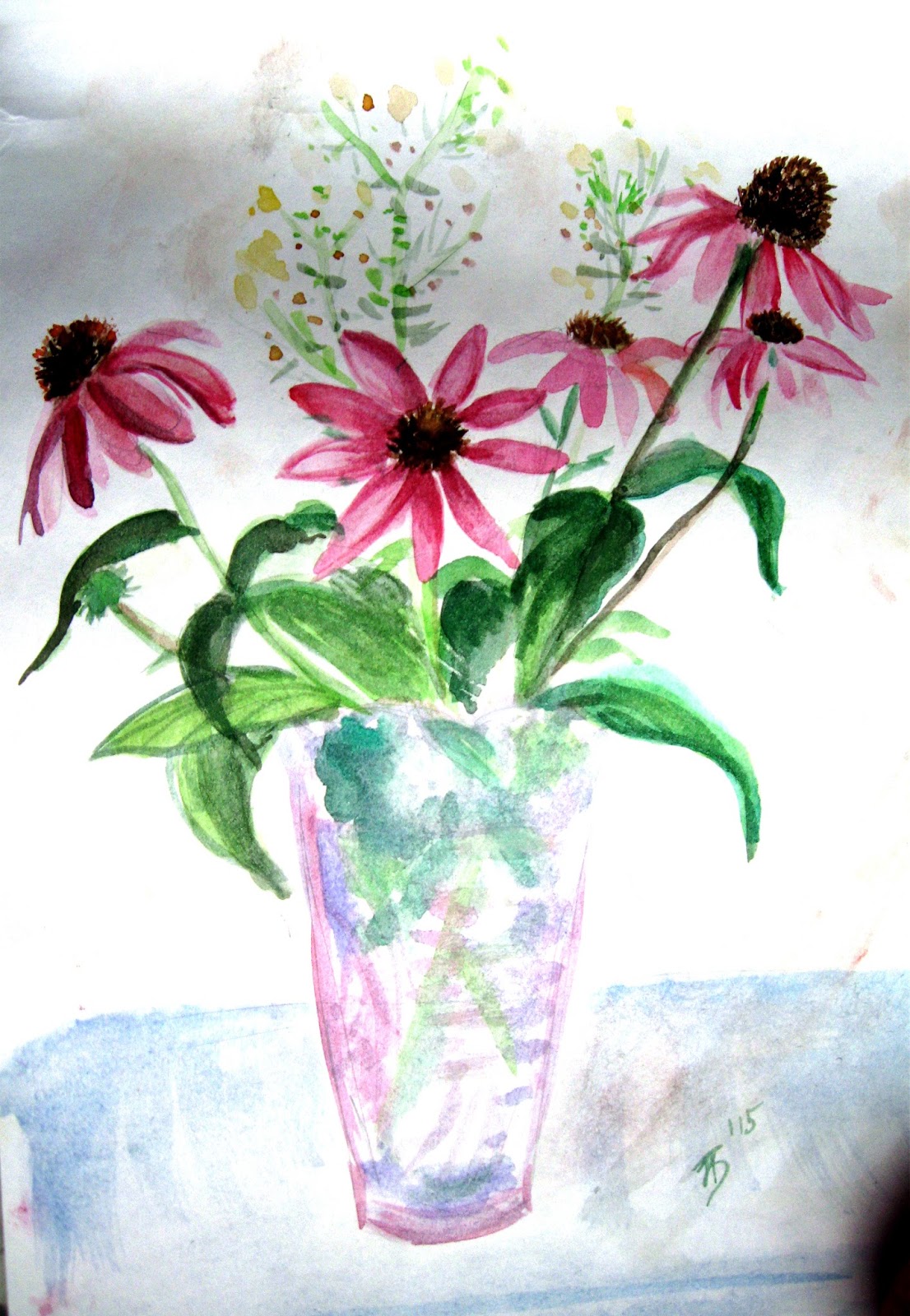 Эхинацея рисунок акварелью