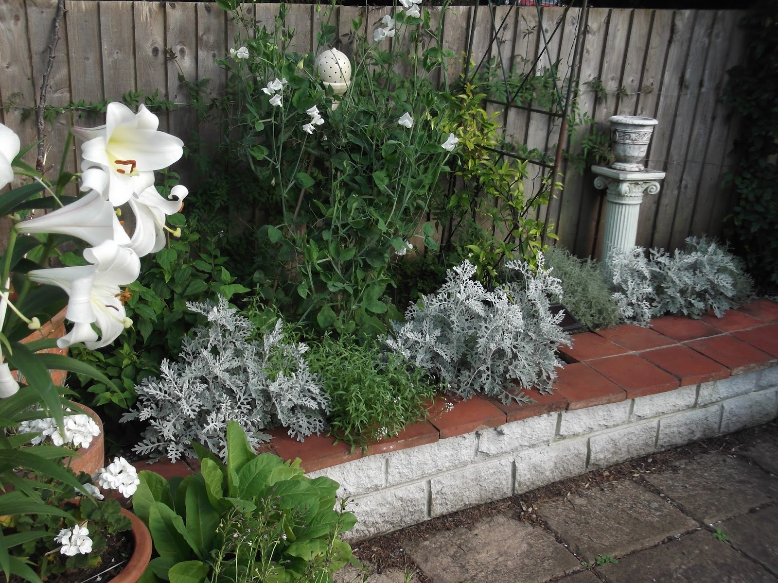 Night Garden #1 Fragrant White Flowers-4 packs/price 3! 