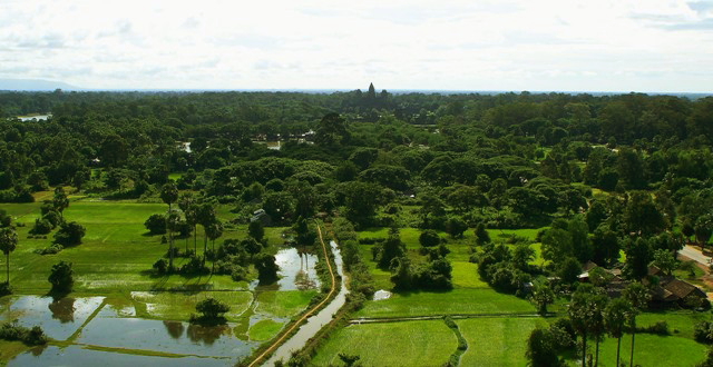 Templo de Angkor wat a vista de pájaro