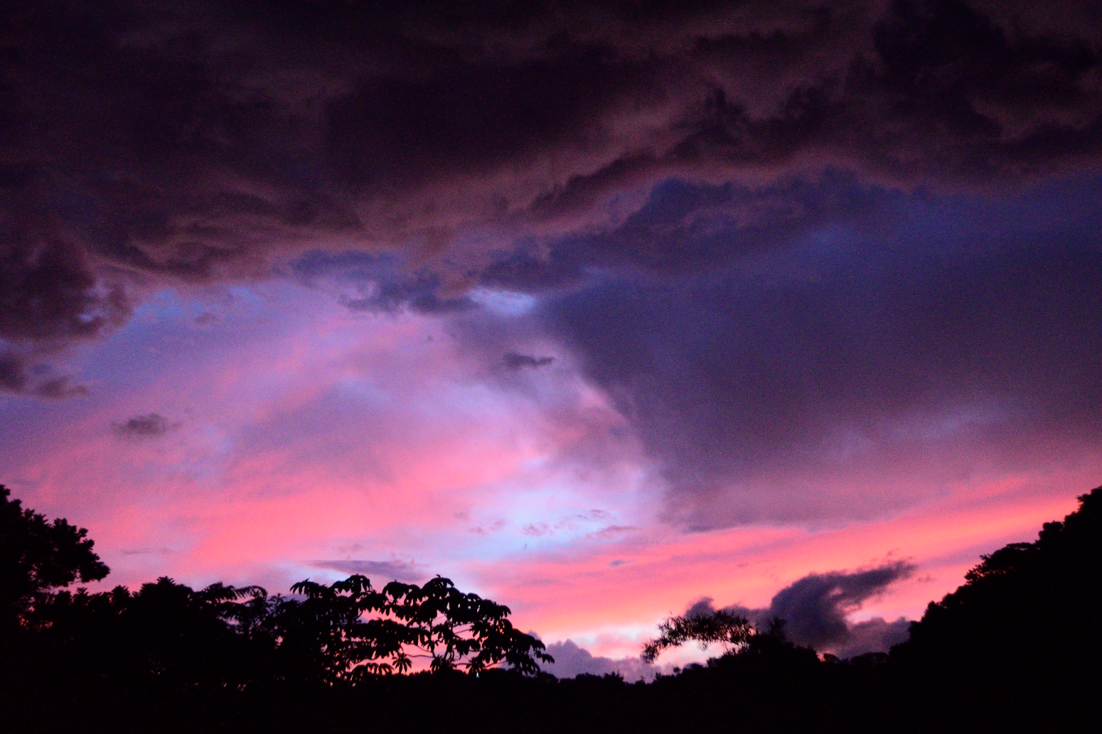 Color in the North Sunrise