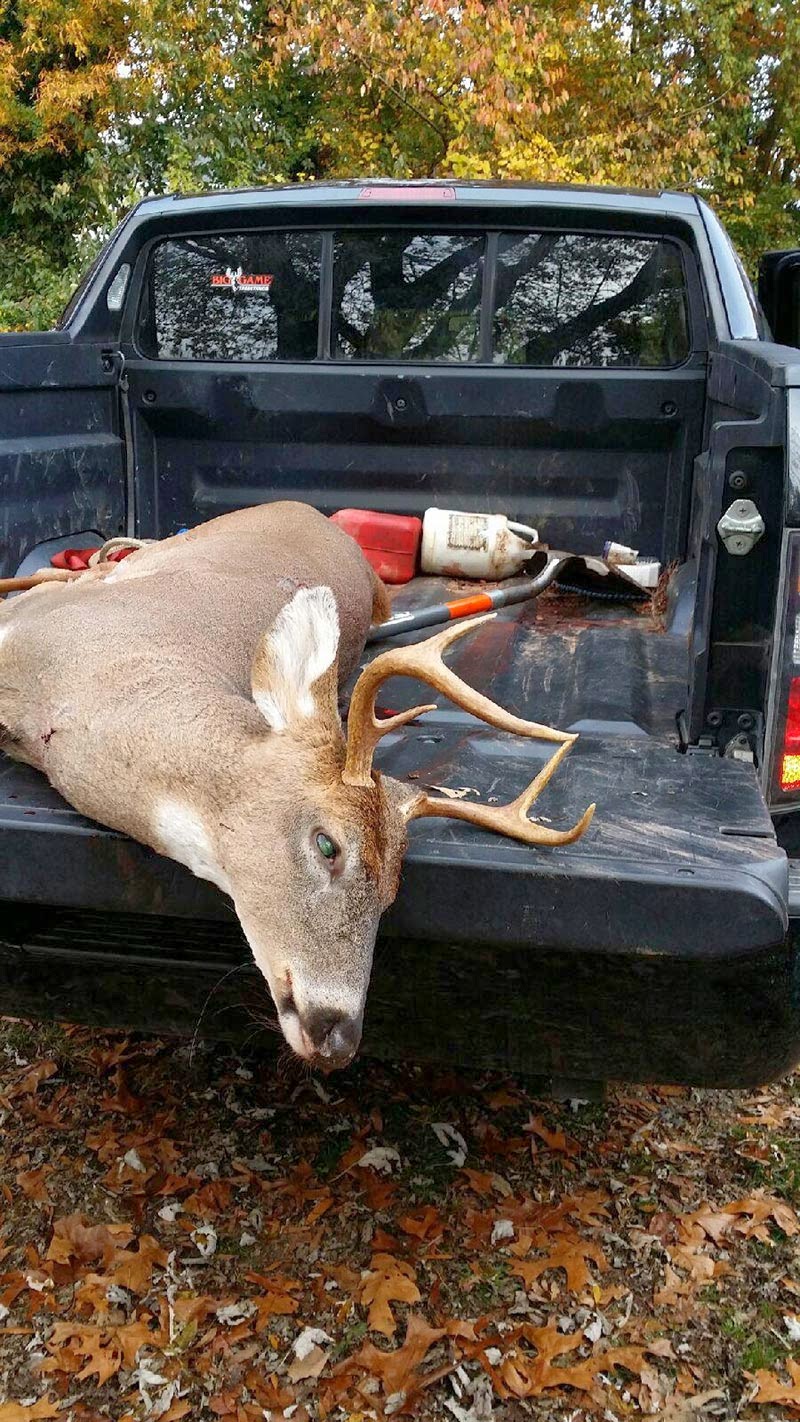 Project Gridless: Bowhunting Equipment Basics