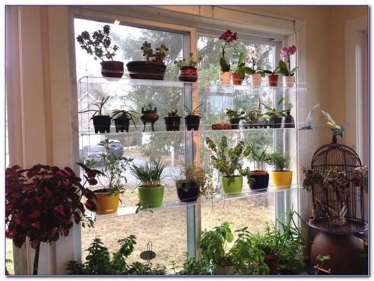Glass Shelves For Windows Home, Glass Window Shelves
